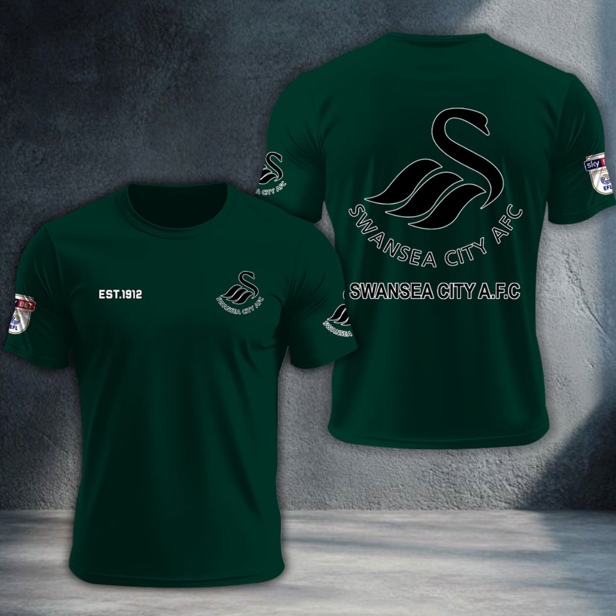 Swansea City DTNTA10233