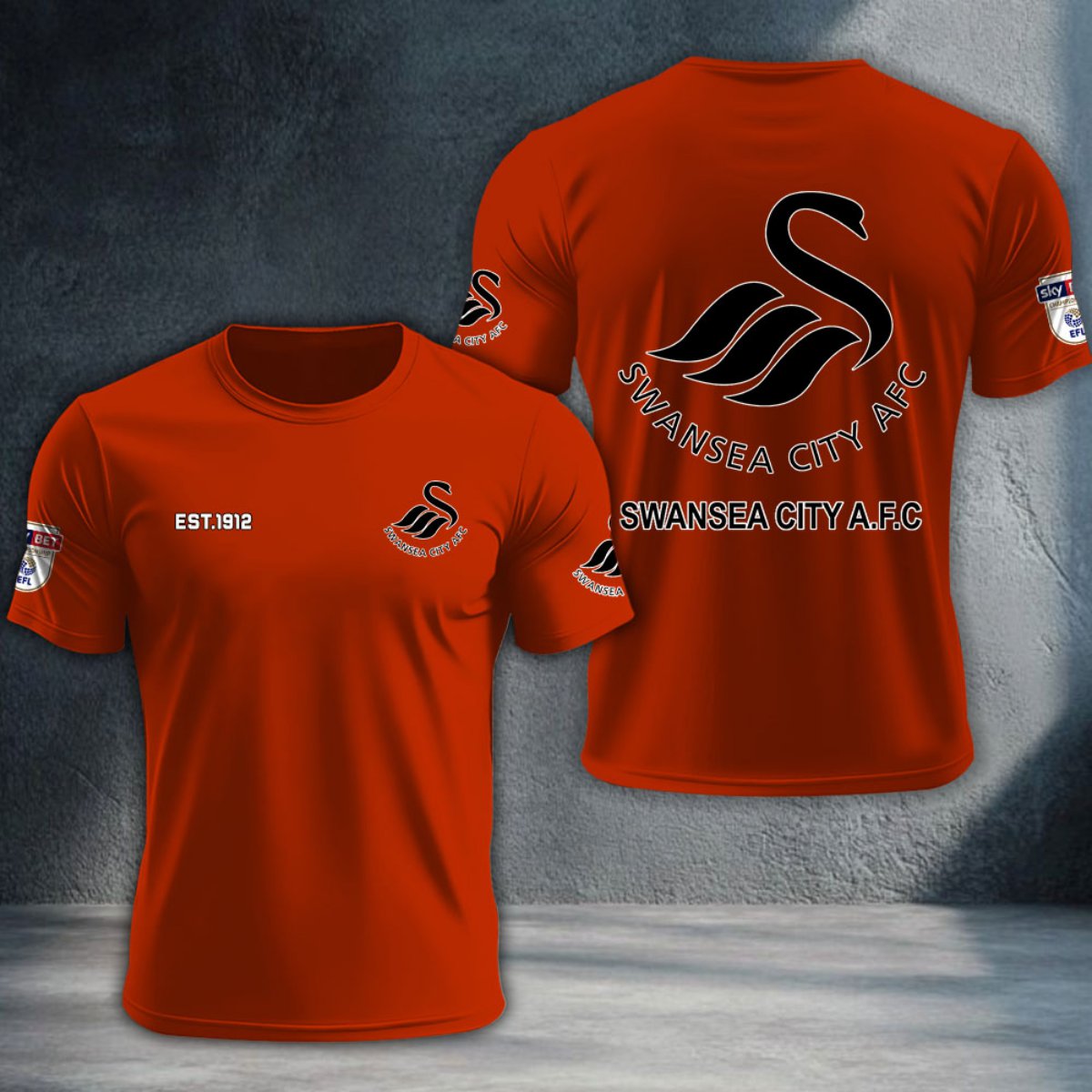 Swansea City DTNTA10233