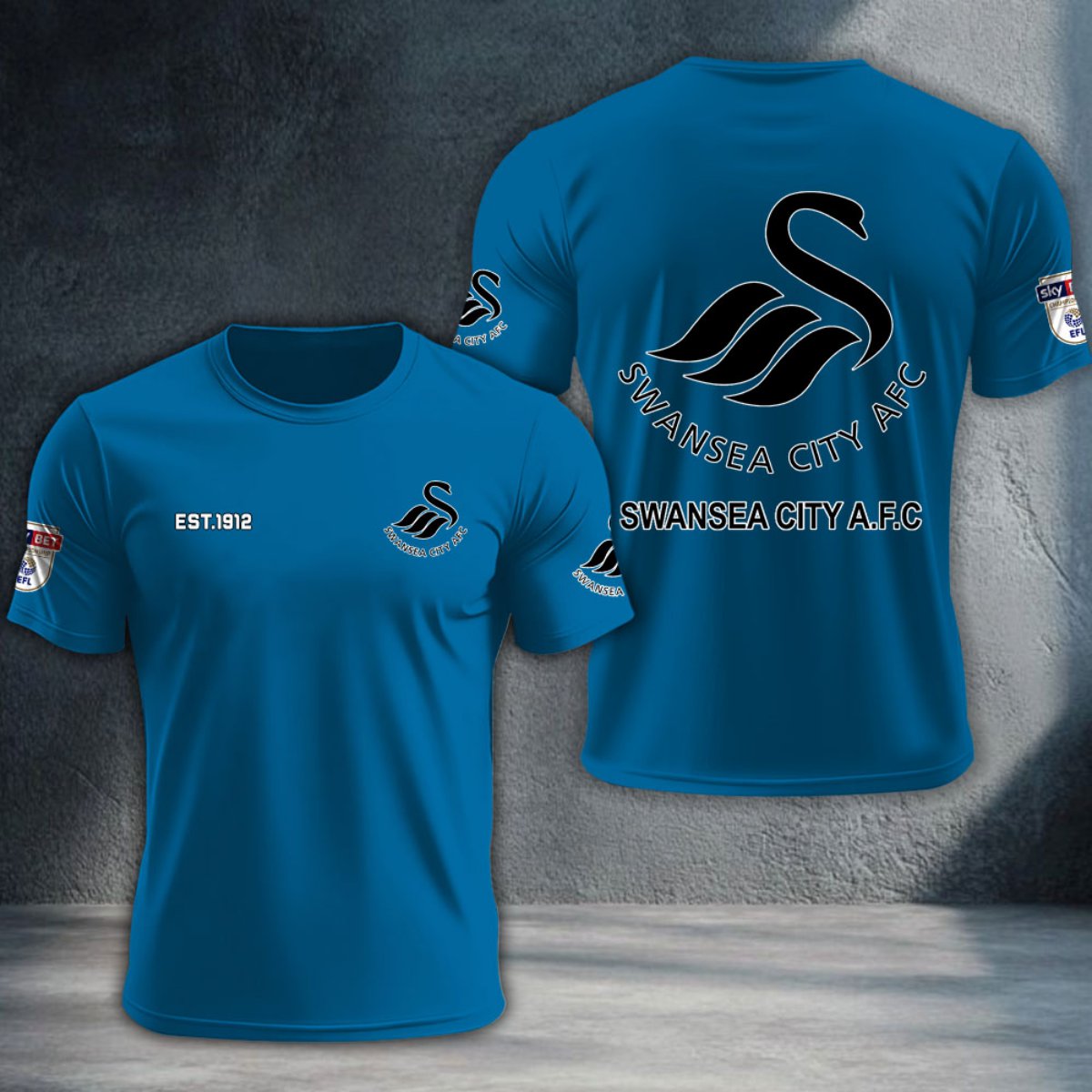 Swansea City DTNTA10233