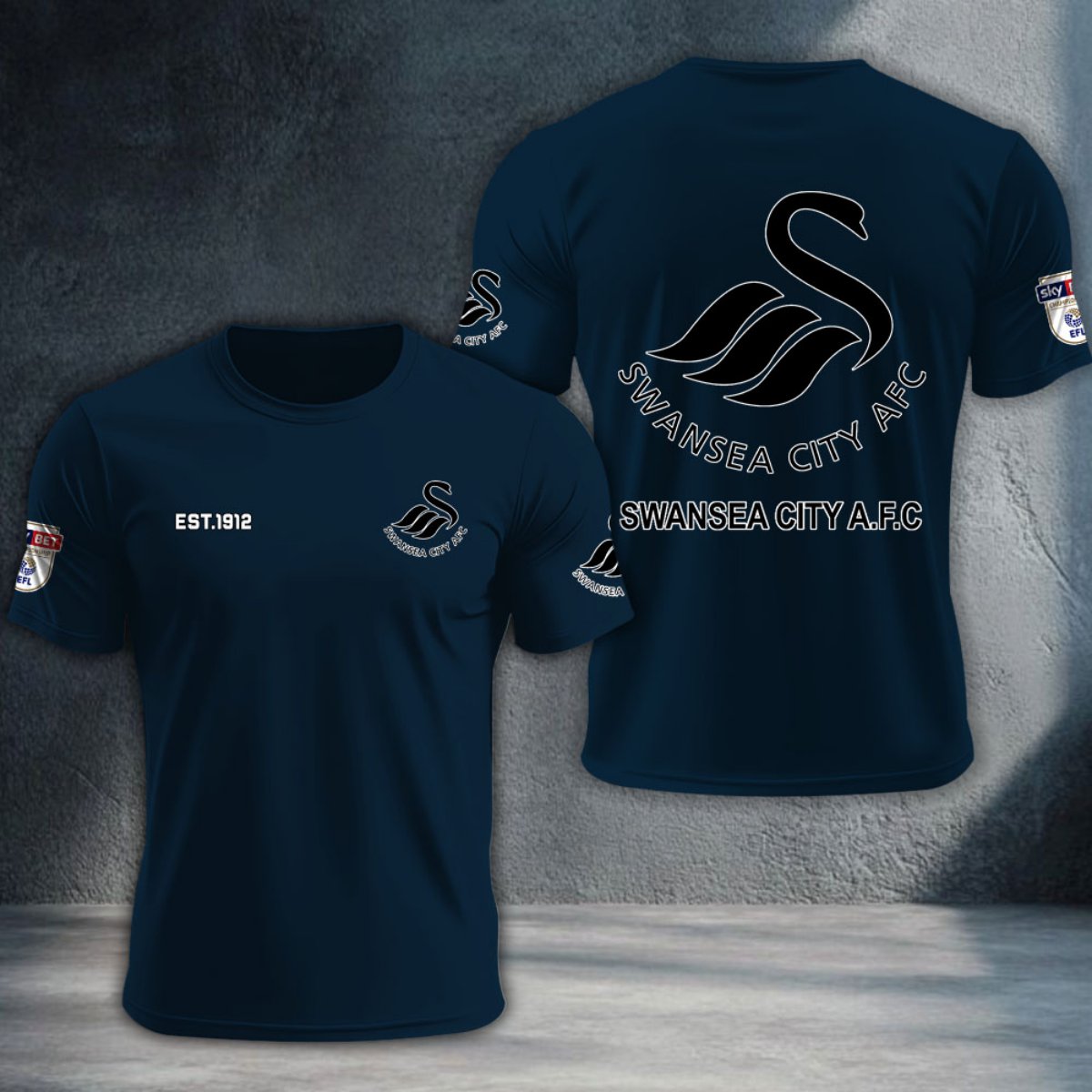 Swansea City DTNTA10233