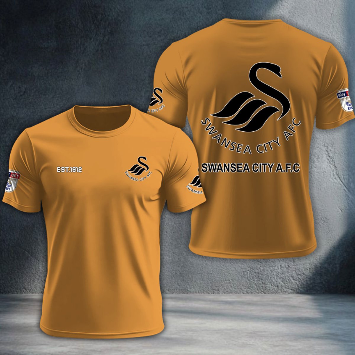 Swansea City DTNTA10233